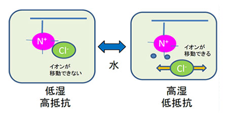 水分子による電解質膜からのイオンの解離⇔結合にともなう電気抵抗の変化