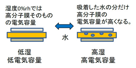 水分子の膜への物理的な吸着⇔脱着にともなう電気容量の変化