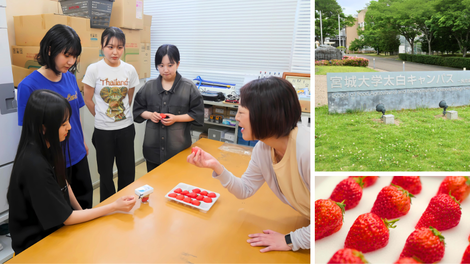 活用事例 宮城大学 食産業学群 フードマネジメント学類 様
